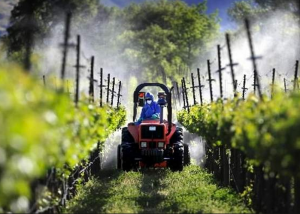 Screen Shot 2013-06-11 at 8.03.21 AM