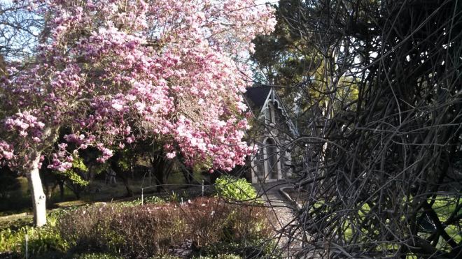 Beautiful Temelec picture