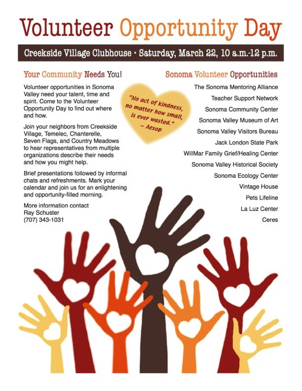 cs Volunteer Flyer Color 2014